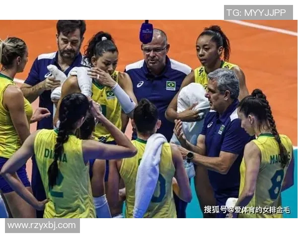 杭州排球队反击体系解析与战术创新探讨